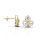 Elegant Diamond Earrings