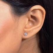 0.5 Carat Each Solitaire Each  Studs